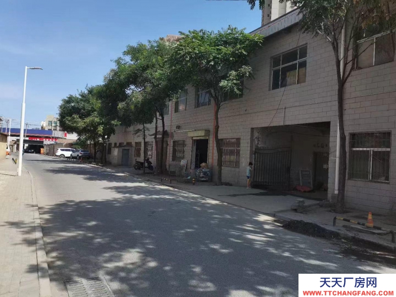 (出租) 银川金凤可办公可存货可加工