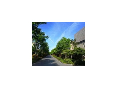 (出售)浦东新区 上河商务园 水电煤全通独栋 园区环境漂亮 带前后花园可改泳池图3