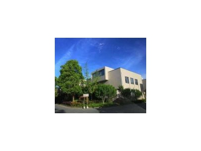 (出售)浦东新区 上河商务园 水电煤全通独栋 园区环境漂亮 带前后花园可改泳池图2