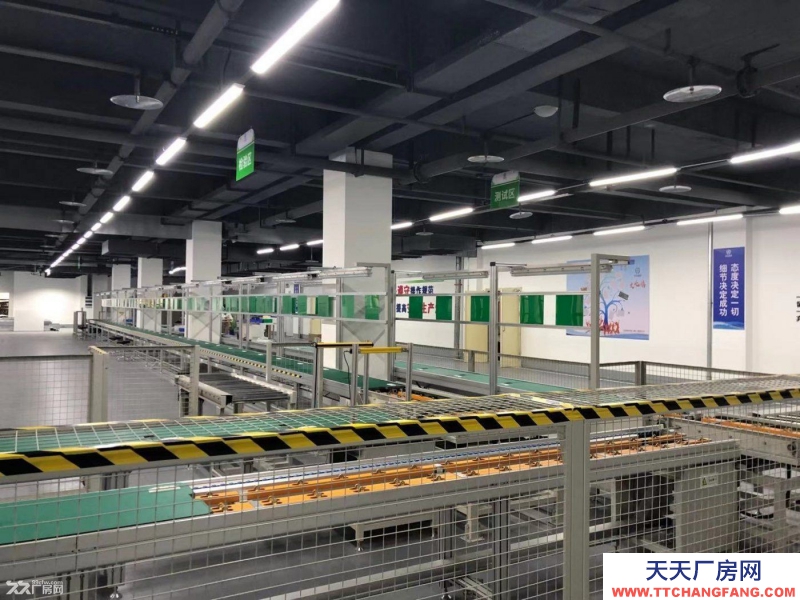 急售，独栋、双拼或分层高标准工业厂房。低价现房。抢到就是赚到。