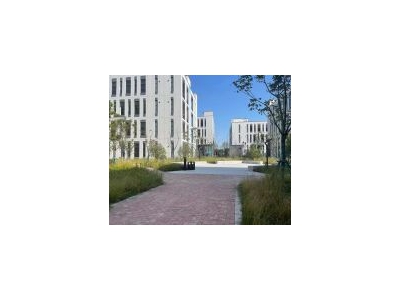(出售) 浦东临港首付2成新建独栋工业厂房出售适合医药医疗器械汽车配件电池图3