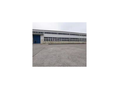 (出租) 浦东外高桥保税区标准单层仓库，可分租，价格实惠。图2