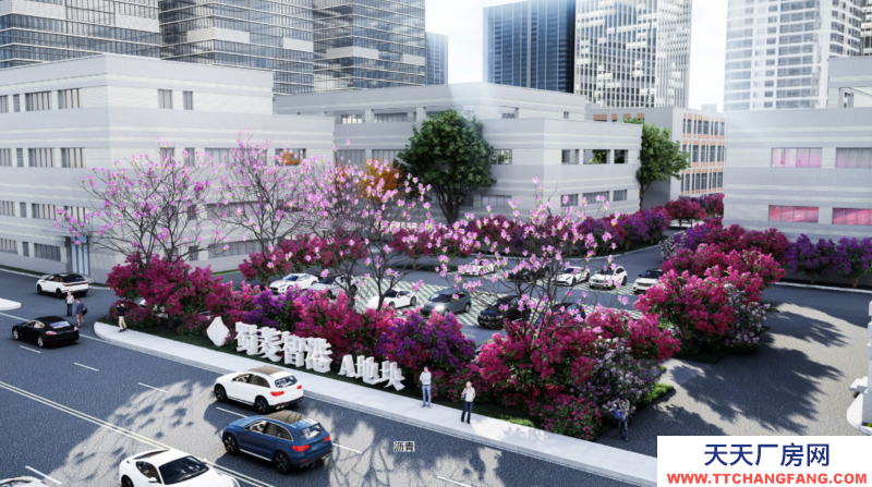 花园式，独栋，框架结构，可以分租，无中介费，970-5000平