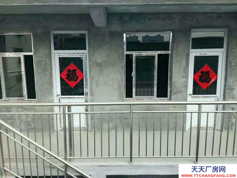 聊城东阿出租自建平房，上下两层