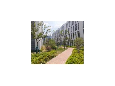 (出租) 金山亭林全新花园式产业园区 高品质标准通用厂房 104地块图3