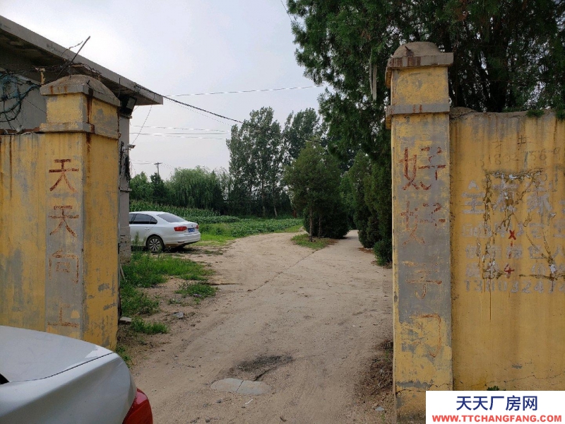 秦皇岛 昌黎 昌黎县城南小心庄村，临机场快速路。