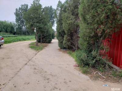 秦皇岛 昌黎 昌黎县城南小心庄村，临机场快速路。图4