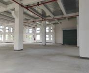 (出租)金山 亭林工业高质厂房，104地块可环评，适合对形象要求高的企业