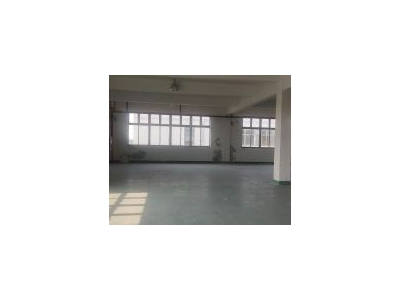 (出租) 金山我是一手房东，厂房为104地块，在朱泾工业区，中介可合作。图3