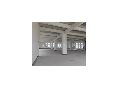 (出租) 金地集团金山亭林独栋厂房2550平 适合办公研发生产企业总部图2