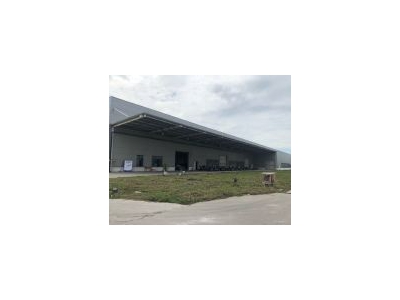 (出租) 上海金山层高12米单层厂房出租独栋10000平 适合生产仓储行业图1