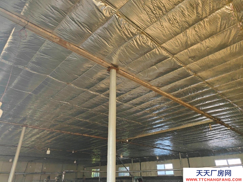 秦皇岛 昌黎新建的厂房现对外出租