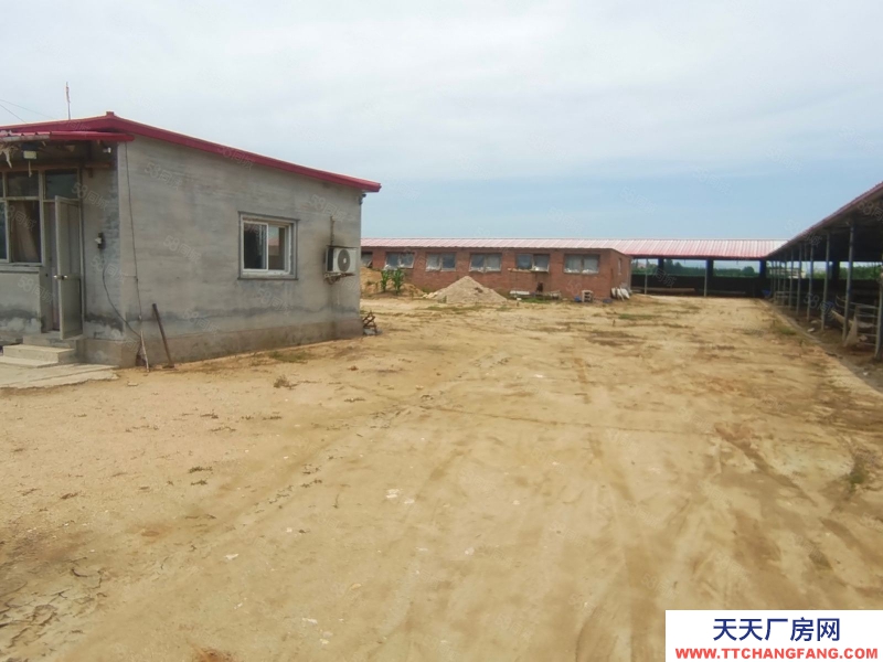 秦皇岛 抚宁 杨洛木村4700平养殖场出租(出租) （商联）抚宁杨洛木村4700平养殖场出租