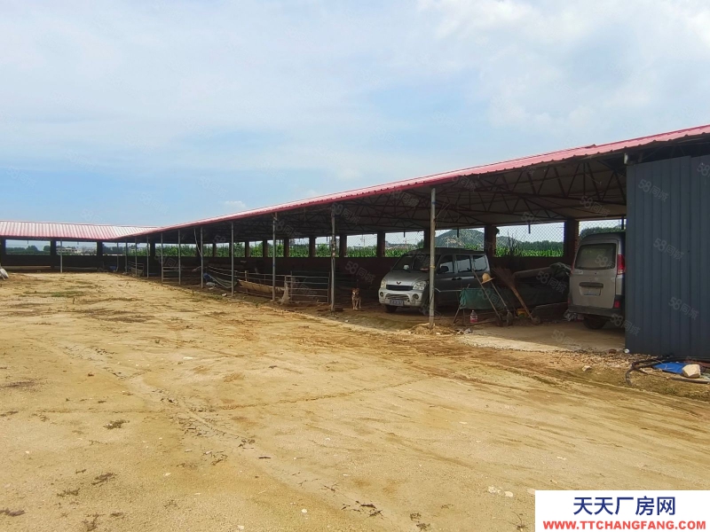 秦皇岛 抚宁 杨洛木村4700平养殖场出租(出租) （商联）抚宁杨洛木村4700平养殖场出租