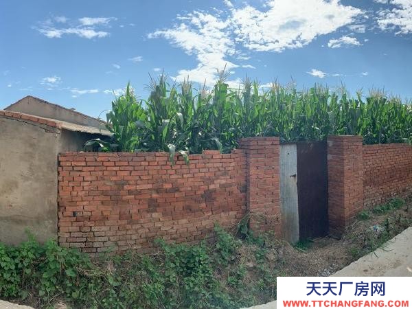 秦皇岛 抚宁 农村大院出租，长租有优惠