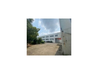 (出售) 金山兴塔12亩独院厂房出售 建筑面积5500平 层高12米图3