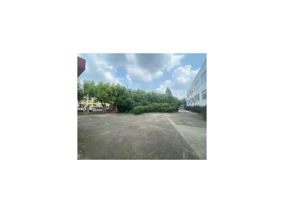 (出售) 金山兴塔12亩独院厂房出售 建筑面积5500平 层高12米图2