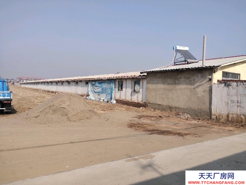 秦皇岛 抚宁  原肉鸡养殖场，全自动设备，离205国道近出行方便