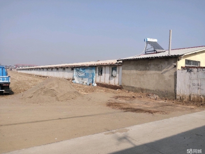 秦皇岛 抚宁  原肉鸡养殖场，全自动设备，离205国道近出行方便图1