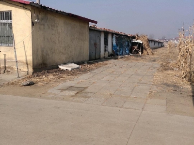 秦皇岛 抚宁  原肉鸡养殖场，全自动设备，离205国道近出行方便图2