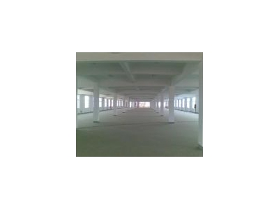 (出售) 金山区 独门独院 6亩 3800平 1520万 近高速图2