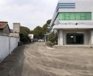 (出售) 金山亭林 划拨104地块 独门独院，绿证4亩，实际有6亩