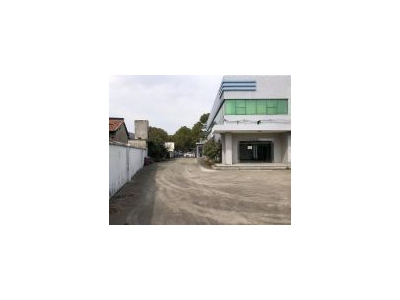 (出售) 金山亭林 划拨104地块 独门独院，绿证4亩，实际有6亩图4