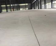 (出售) 金山工业区独院厂房出售占地40亩