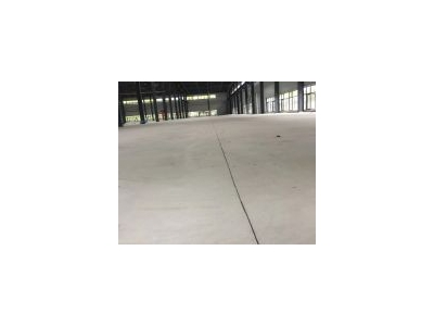 (出售) 金山工业区独院厂房出售占地40亩图1