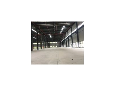 (出售) 金山工业区独院厂房出售占地40亩图2