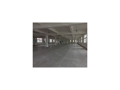 (出租) 松江独院一楼2000平，200平起租！适合展厅仓库组装电商！图1