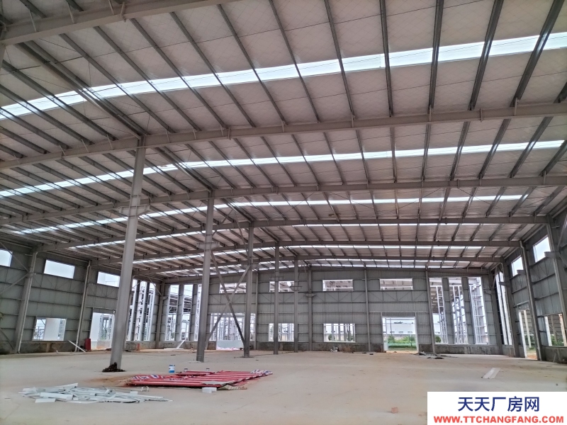 出售2000㎡全新现房 单层钢构厂房 有产权 可办证 行业宽松