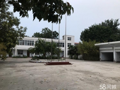(出租)焦作博爱城区 玉祥路与温博路交汇处 办公房与院 2000平米图1
