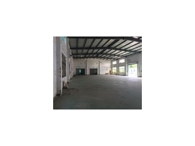 (出租) 松江叶榭一楼 4800平 可分租，层高7米，适合门窗，钣金，家具图2