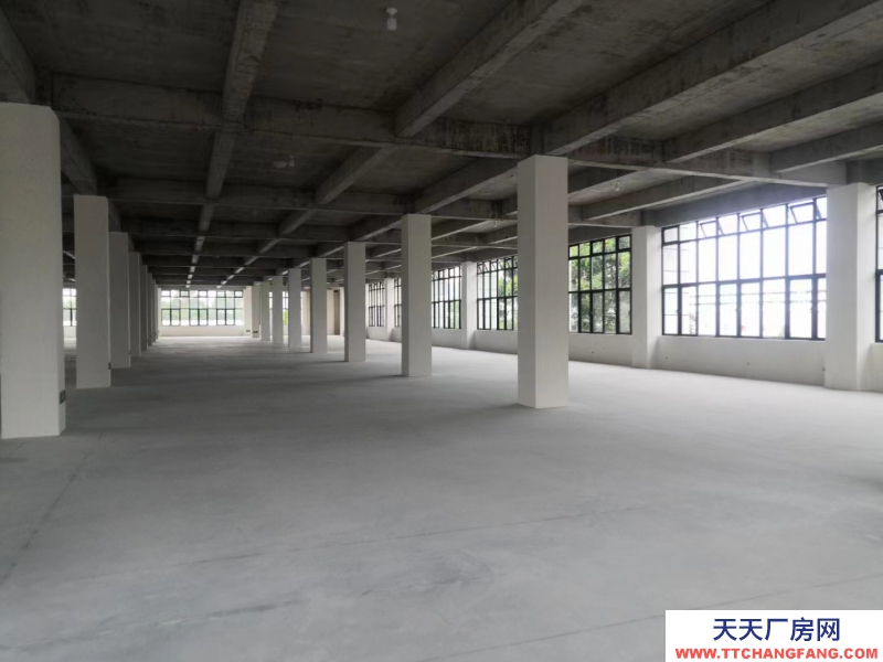 无中介费，独栋，框架结构，新厂房，两层半设计，高赠送