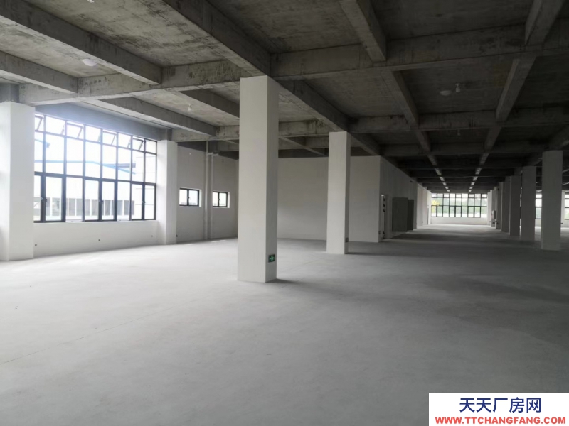 无中介费，独栋，框架结构，新厂房，两层半设计，高赠送