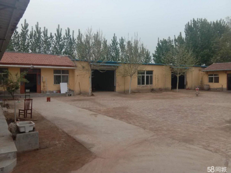 聊城临清大辛庄街道 董庄村 仓库 1600平米图1