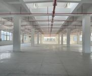 (出租) 松江洞泾工业区各类厂房，仓库，办公室出租