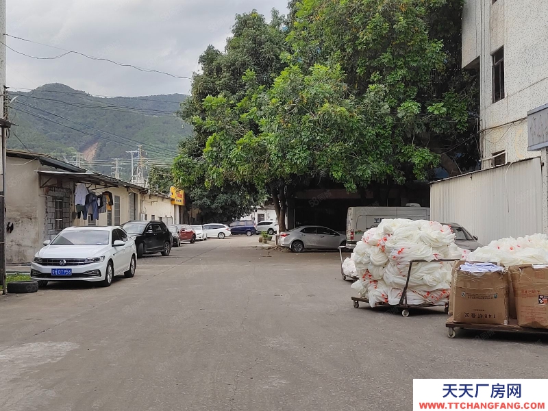 (出租) 广州肇庆睦岗大洲工业区厂房空置一楼980平米