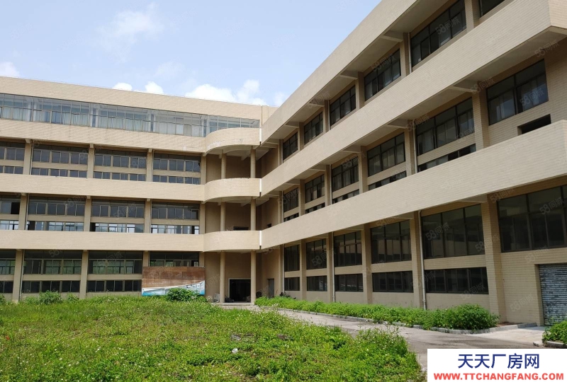 (出租) 广州肇庆端州城区标准水泥结构厂房招租