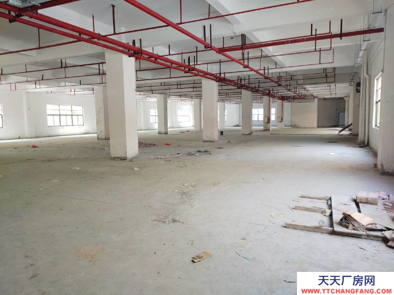 (出租) 广州肇庆端州城区标准水泥结构厂房招租
