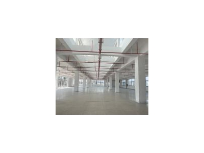 (出租) 松江洞泾工业区各类厂房，仓库，办公室出租图1