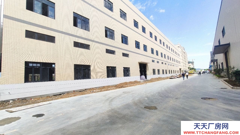 (出租) 广州肇庆大旺标准楼层钢结构单一层全新厂房产业园后剩3个仓