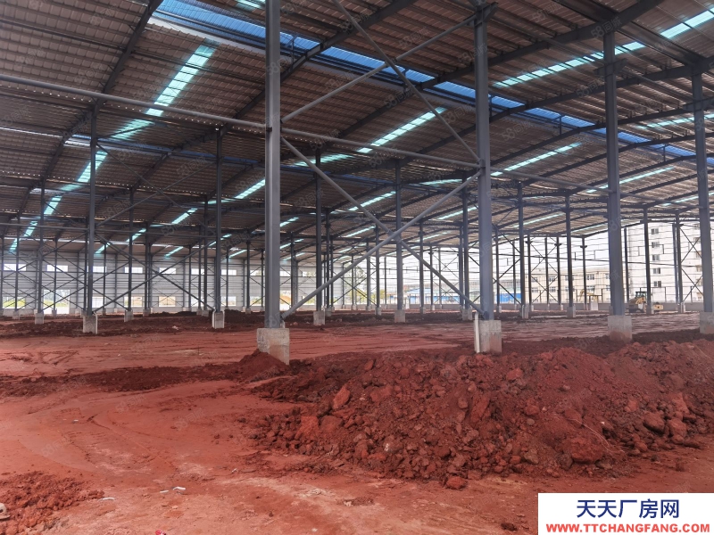 (出租) 广州肇庆四会大沙工业园全新独院单层加楼层46000平方，可分租