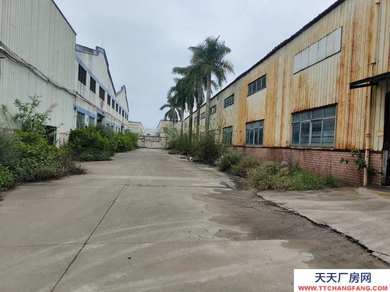 (出租) 广州 肇庆鼎湖新区13元重工业厂房10万平方出租