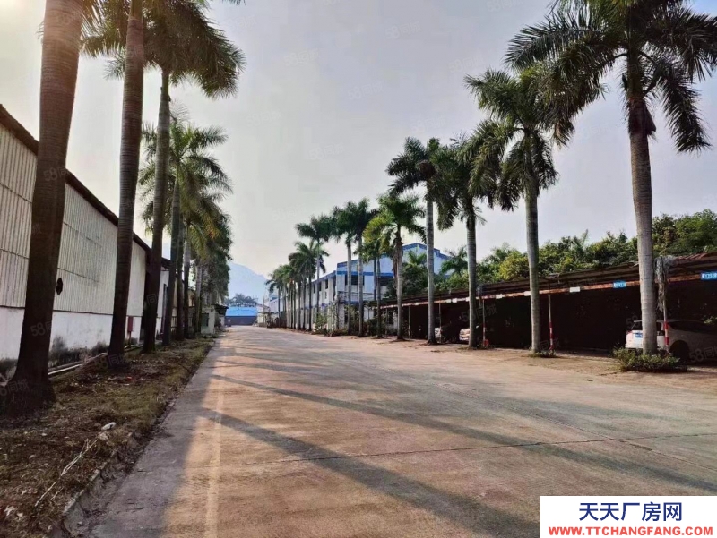 (出租) 广州肇庆现有喷漆环评喷漆房厂房出租10万平方3000平方起分租。