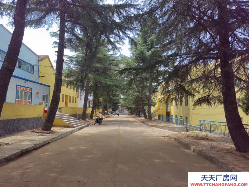 (出租) 小院独栋可建厂，有煤气，