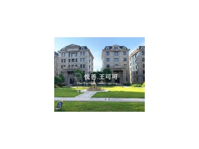 (出售)青浦 法式总部官邸丨低密度独栋丨通燃气北虹桥商务丨近宝龙天地甘建投图2