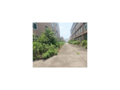 (出售) 青浦区练塘镇工业园区104板块26亩土地厂房出售图1