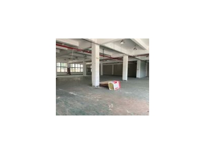 (出租) 青浦徐泾凤溪680平390平220平仓库出租 大车好进配套齐全图3